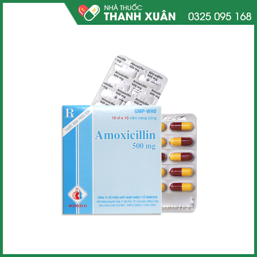 Amoxicillin 500mg Domesco thuốc kháng sinh điều trị nhiễm khuẩn hô hấp, tiết niệu, da và mô, viêm dạ dày-ruột